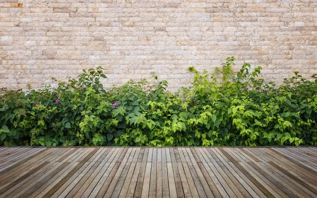 Adopter un bureau avec terrasse pour un cadre de travail exceptionnel