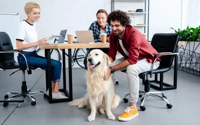 Quels sont les bienfaits des animaux au bureau ?