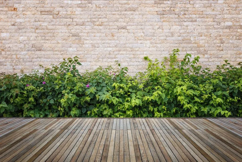 Adopter un bureau avec terrasse pour un cadre de travail exceptionnel 