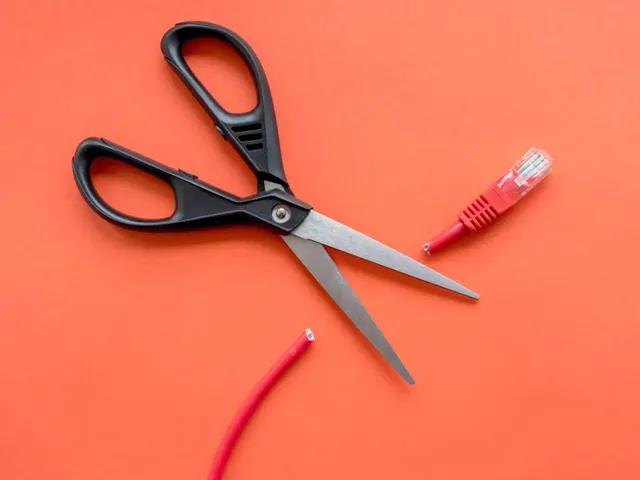 Tout savoir sur le droit à la déconnexion des salariés pendant l'été