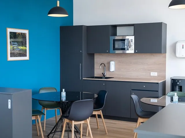 Bureau privé 3 postes à louer - Lyon (Cours Lafayette) - photo 2