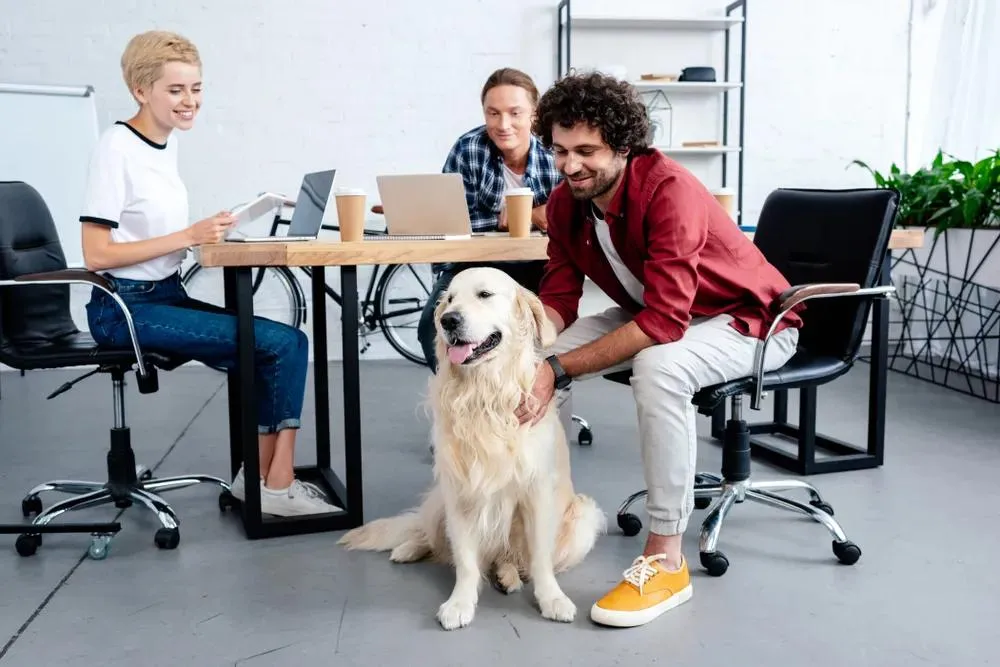 Quels sont les bienfaits des animaux au bureau ?