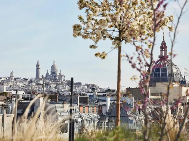 Bureau privé 30 postes à louer - Paris 8e (Rue de Courcelles) - photo 4